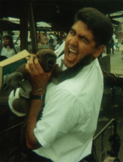 Ecuamonkey4_3