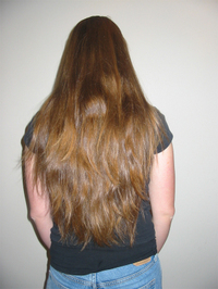 Melslonghair