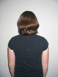 Melsshorthair_1