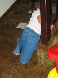 Aristairs