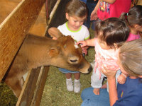 Dairy1