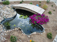 Pond1_2