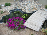 Pond2
